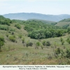 hyponephele lupina daghestan biotope1